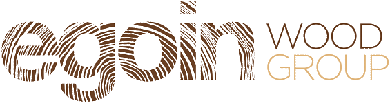 Egoin