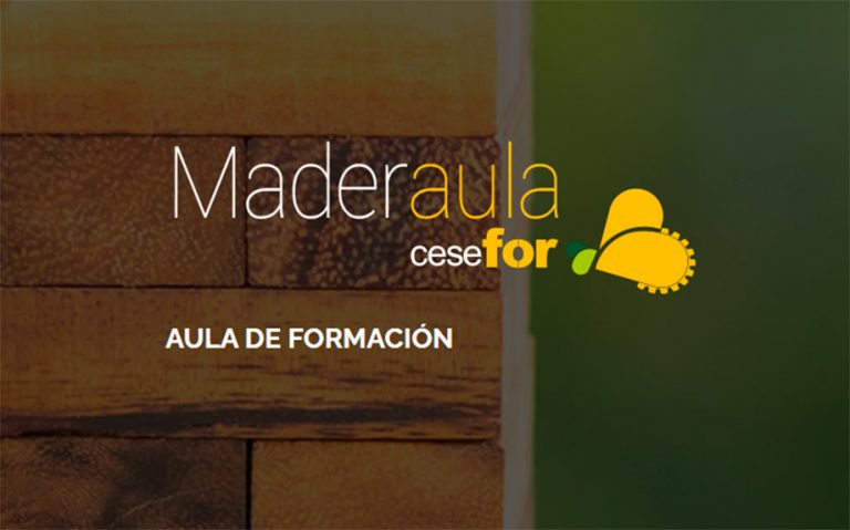 Programa formativo Maderaula